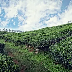The Windflower & Spa, Vythiri 5*, Wayanad India